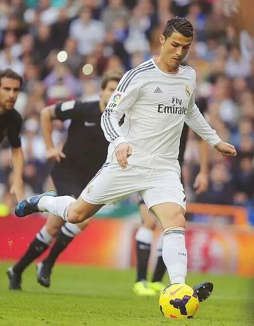 显然都在为 显然都在为